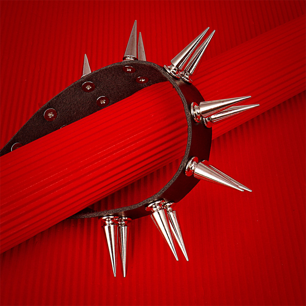 Long Spiked Choker Collar For  - Goth Punk Spike Choker review and price